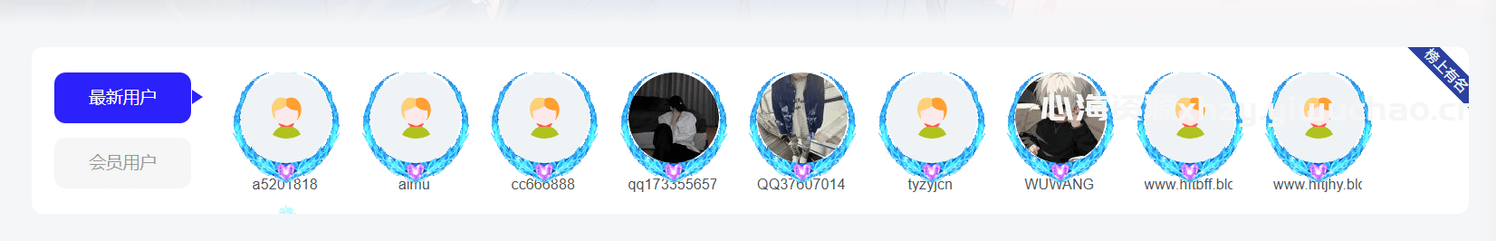 【心海资源】子比主题前端展示注册用户与会员信息的功能模块与代码教程
